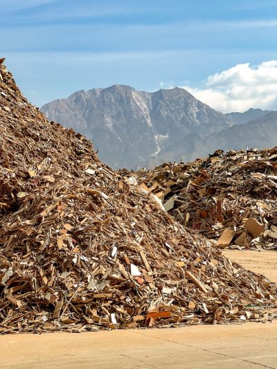 0717 Steinert ecycled wood piles fantoni2x