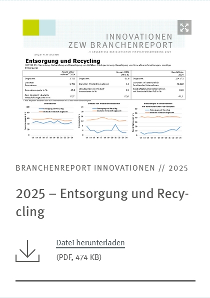 0129 ZEW Branchenreport 2025 Entsorgung Recycling