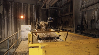 0219 STEINERT3 non ferrous discharge eddy current conveyor c and d recycling