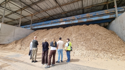 0817 ThinkCircular Reiling Holz